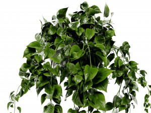 Collection Plant Vol 412 - Blender Model Modèle 3D