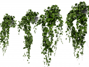 Collection Plant Vol 412 - Blender Model Modèle 3D