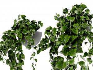 Collection Plant Vol 412 - Blender Model Modèle 3D