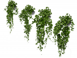 Collection Plant Vol 412 - Blender Model Modèle 3D