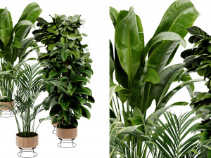 Collection Plant Vol 413 - Blender Model 3D Model