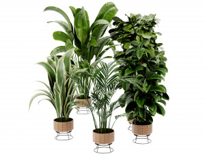 Collection Plant Vol 413 - Blender Model Model 3D
