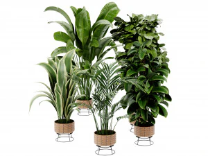 Collection Plant Vol 413 - Blender Model 3D Model