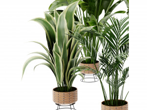 Collection Plant Vol 413 - Blender Model Model 3D
