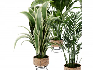 Collection Plant Vol 413 - Blender Model 3D Model