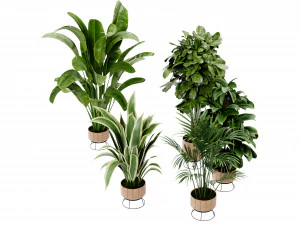 Collection Plant Vol 413 - Blender Model 3D Model