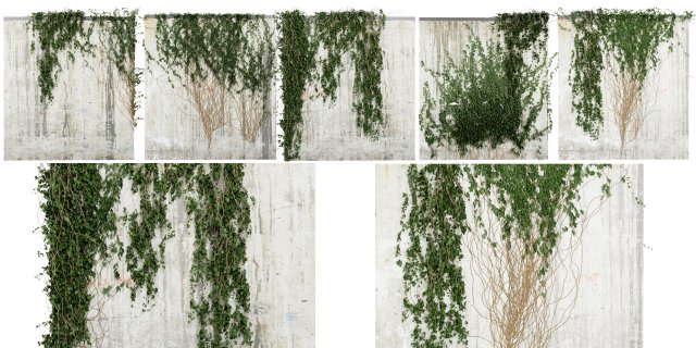 Collection Plant Vol 414 - Blender Model 3D 模型 .c4d .max .obj .3ds .fbx .stl .blend 