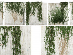 Collection Plant Vol 414 - Blender Model Model 3D