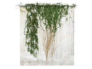 Collection Plant Vol 414 - Blender Model 3D Model