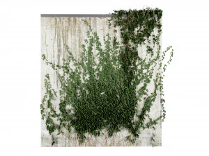 Collection Plant Vol 414 - Blender Model 3D Model