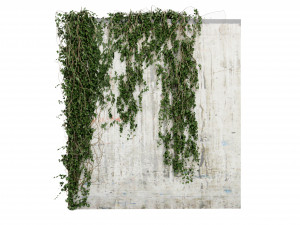 Collection Plant Vol 414 - Blender Model 3D 模型