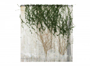 Collection Plant Vol 414 - Blender Model 3D Model