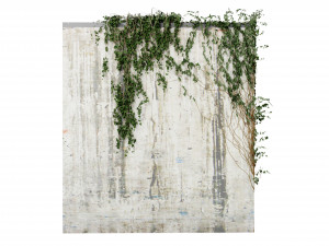 Collection Plant Vol 414 - Blender Model 3D 模型
