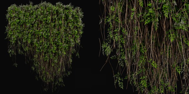 Collection Plant Vol 415 - Blender Model 3D Model .c4d .max .obj .3ds .fbx .stl .blend 