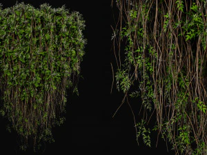 Koleksi Tanaman Vol 415 - Model Blender Model 3D