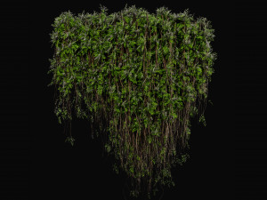 Collection Plant Vol 415 - Blender Model 3D Model