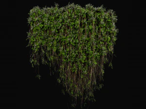 Collection Plant Vol 415 - Blender Model 3D Model