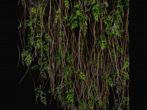 Collection Plant Vol 415 - Blender Model 3D Model