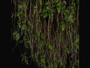 Collection Plant Vol 415 - Blender Model 3D Model