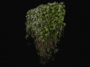 Collection Plant Vol 415 - Blender Model 3D Model