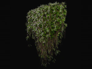 Collection Plant Vol 415 - Blender Model 3D Model