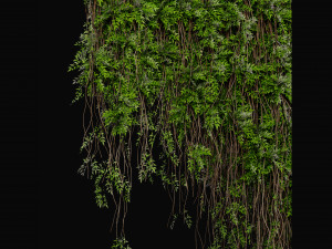 Collection Plant Vol 415 - Blender Model 3D Model