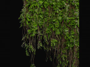 Collection Plant Vol 415 - Blender Model 3D Model