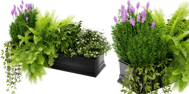 Collection Plant Vol 416 - Blender Model 3D 模型 .c4d .max .obj .3ds .fbx .stl .blend