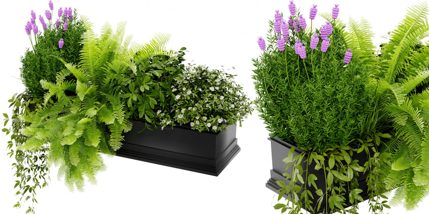 Collection Plant Vol 416 - Blender Model 3D Model .c4d .max .obj .3ds .fbx .stl .blend 