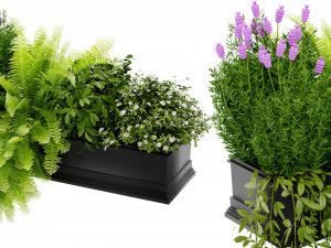 Collection Plant Vol 416 - Blender Model 3D 모델