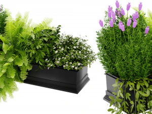 Collection Plant Vol 416 &ndash; Blender-Modell 3D Modell