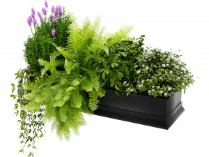 Collection Plant Vol 416 - Blender Model 3D 模型