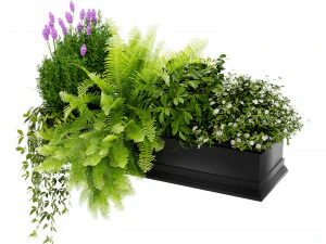 Collection Plant Vol 416 - Blender Model 3D Model