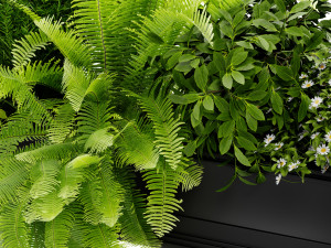 Collection Plant Vol 416 - Blender Model 3D 模型