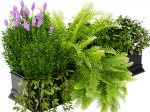 Collection Plant Vol 416 - Blender Model 3D Model