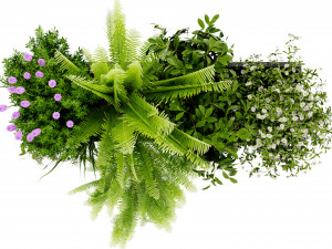 Collection Plant Vol 416 - Blender Model 3D 模型