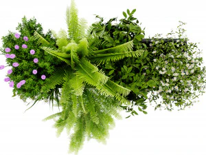 Collection Plant Vol 416 - Blender Model 3D Model