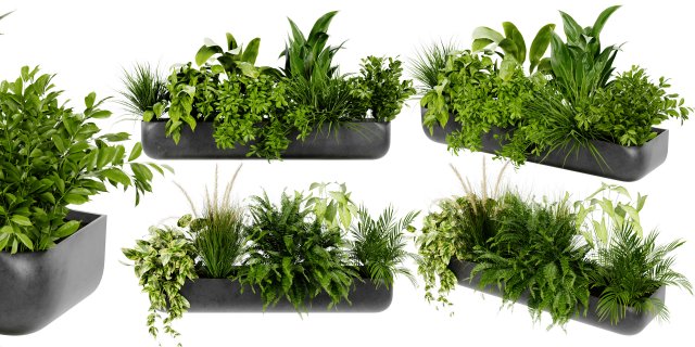 Collection Plant Vol 417 - Blender Model Modelo 3D .c4d .max .obj .3ds .fbx .stl .blend 