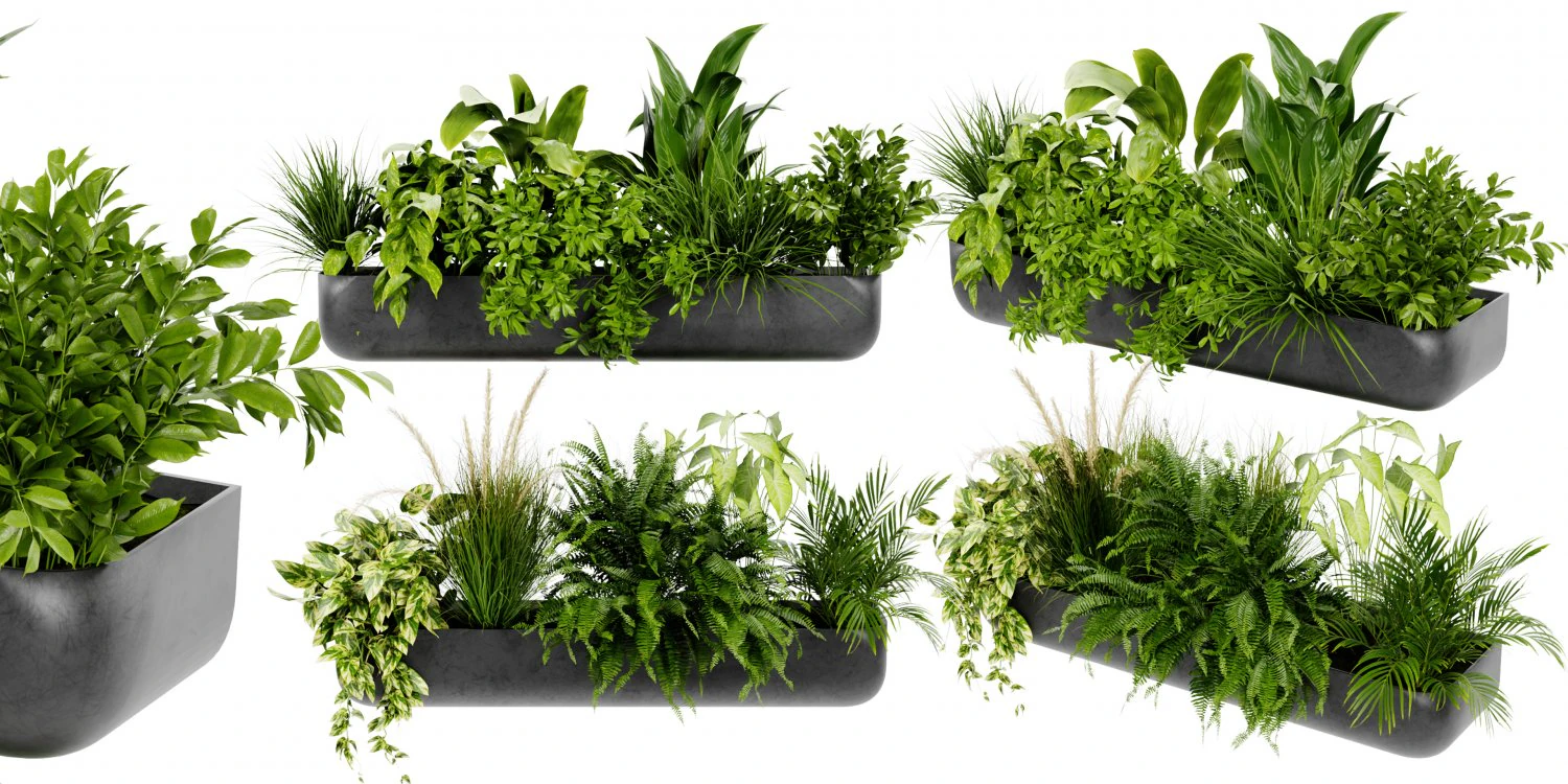 Collection Plant Vol 417 - Blender Model 3D Model .c4d .max .obj .3ds .fbx .stl .blend 