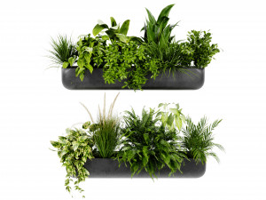 Collection Plant Vol 417 - Blender Model Modelo 3D