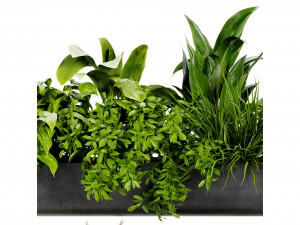 Collection Plant Vol 417 - Blender Model Modelo 3D