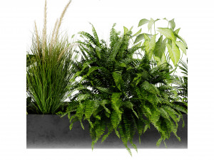 Collection Plant Vol 417 - Blender Model Modelo 3D