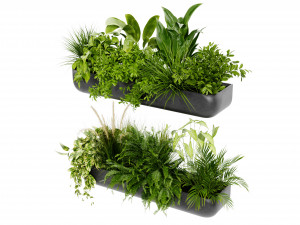Collection Plant Vol 417 - Blender Model Modelo 3D