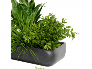 Collection Plant Vol 417 - Blender Model Modelo 3D