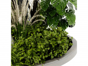 Collection Plant Vol 418 - Blender Model 3D Model