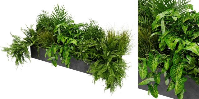 Collection Plant Vol 419 - Blender Model Modello 3D .c4d .max .obj .3ds .fbx .stl .blend 