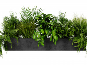 Collection Plant Vol 419 - Blender Model Modello 3D