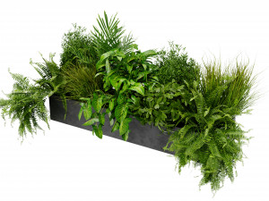 Collection Plant Vol 419 - Blender Model Modello 3D