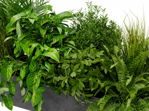 Collection Plant Vol 419 - Blender Model Modello 3D