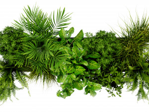 Collection Plant Vol 419 - Blender Model Modello 3D